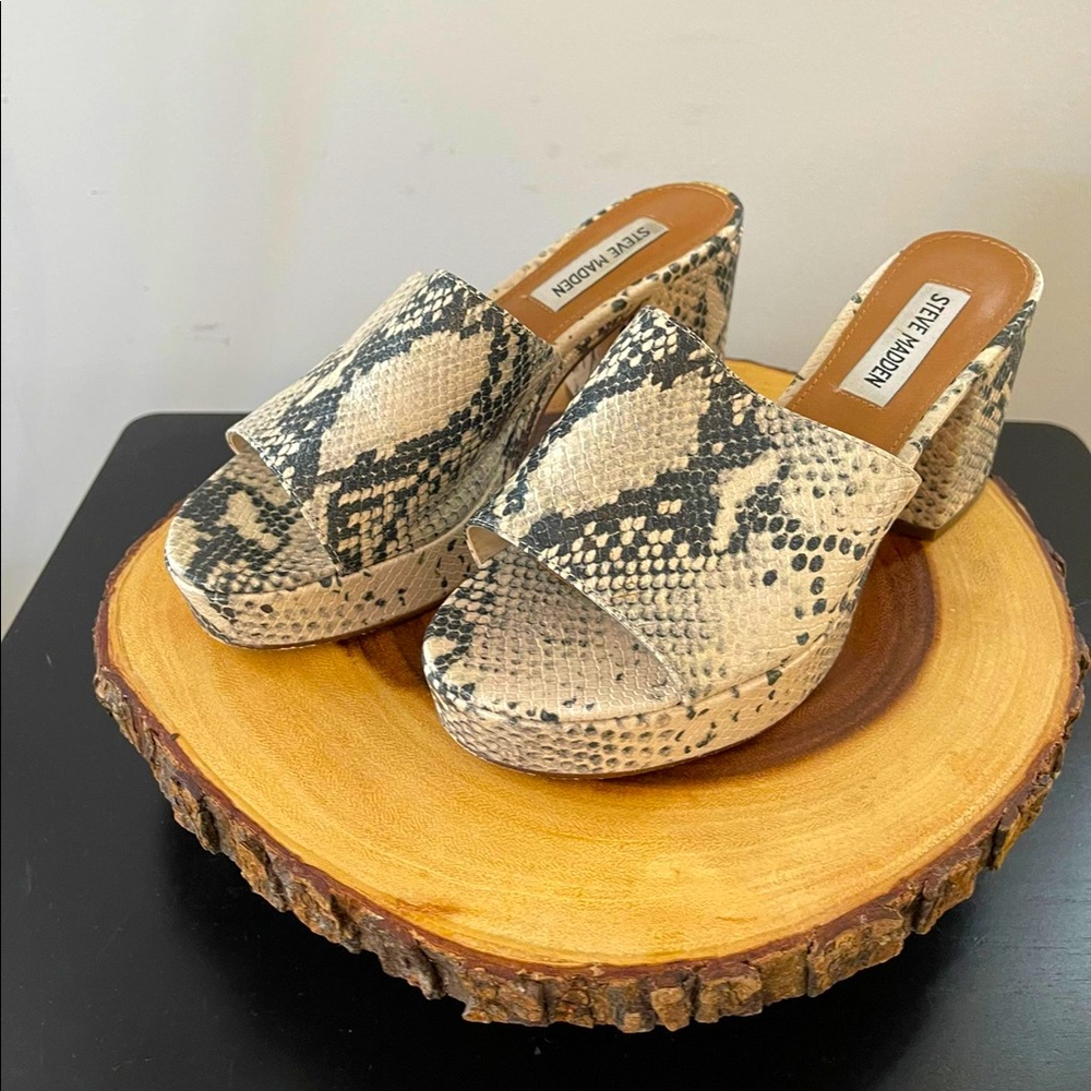 Steve Madden shoes